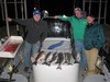 (04/20/2015) - Nice Striped Bass